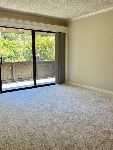 Building Photo - 1407 Marchbanks Dr