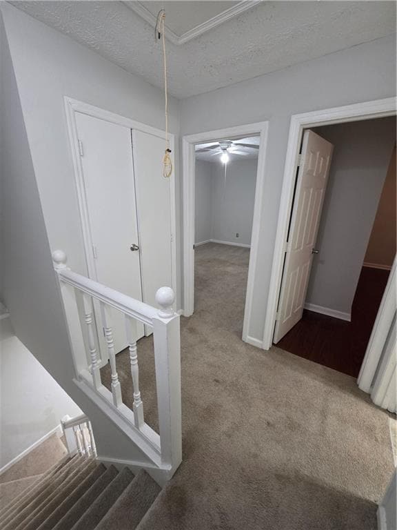 Building Photo - 1952 Padgett Dr