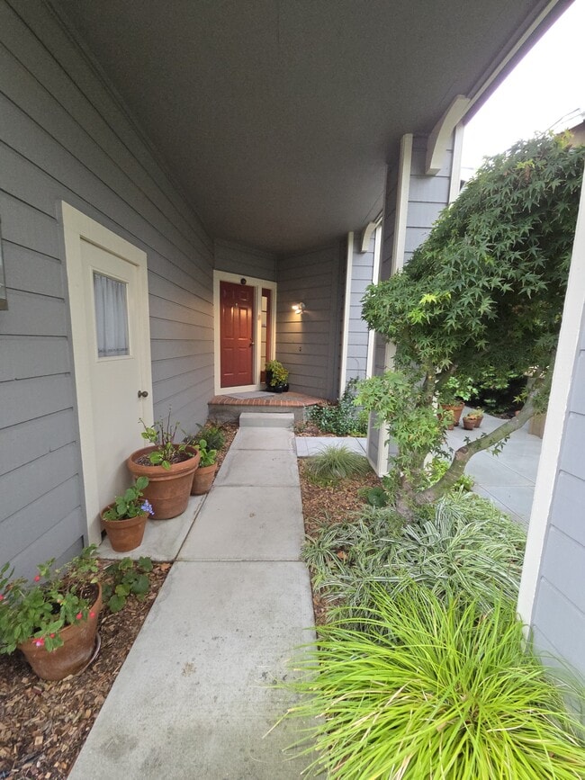 Building Photo - 10 Gregory Pl