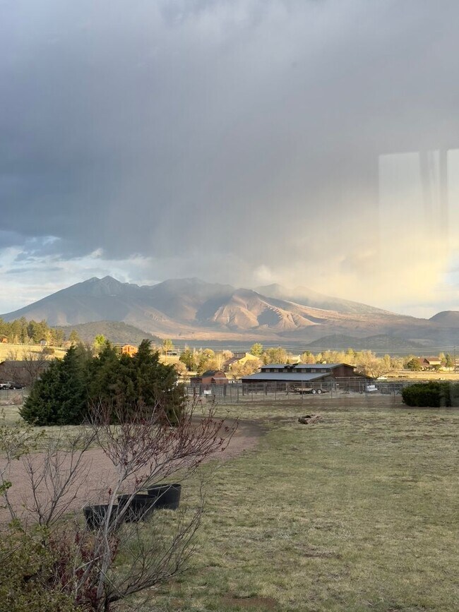 Building Photo - wonderful 3 bedroom home in serene setting