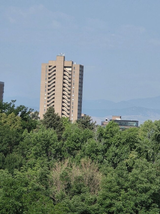 Building Photo - Remodeled 1 BDR in Capital Hill.  Location...