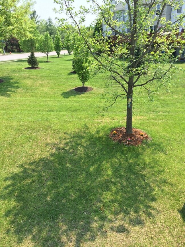 Building Photo - Generous 2 Bedroom Townhome in Baltimore!