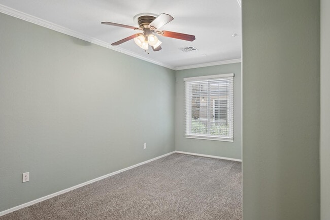 Building Photo - 1319 S Sabino Dr