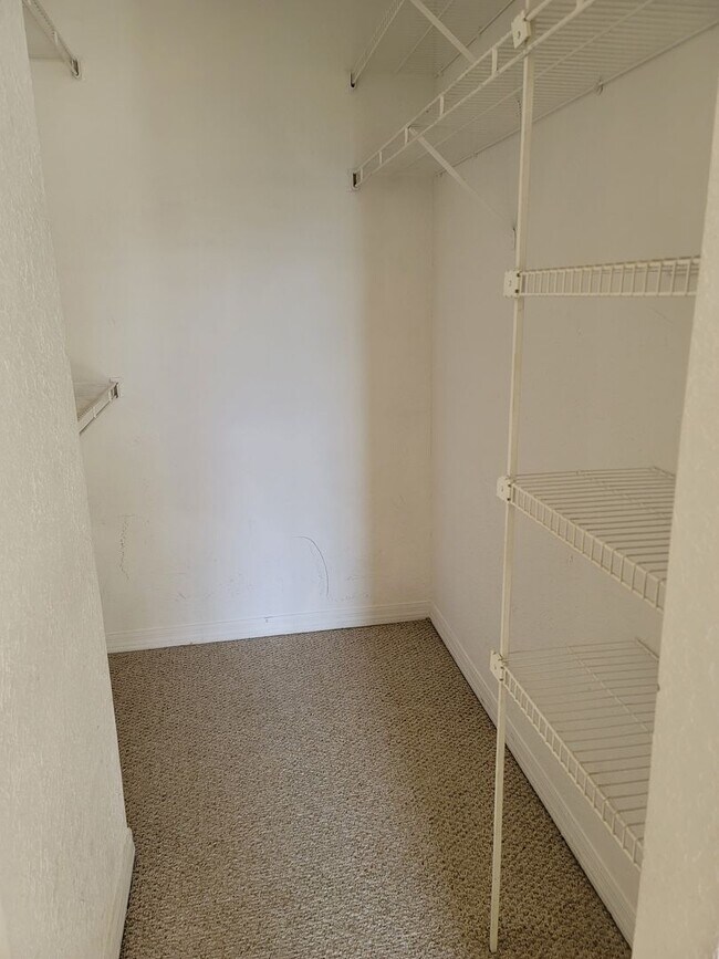 Building Photo - Large Sunridge Palms townhome across from USF!