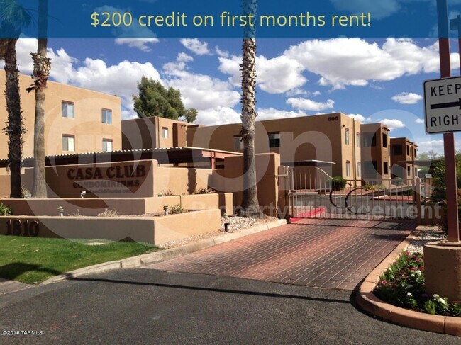 Primary Photo - 1810 E Blacklidge Dr