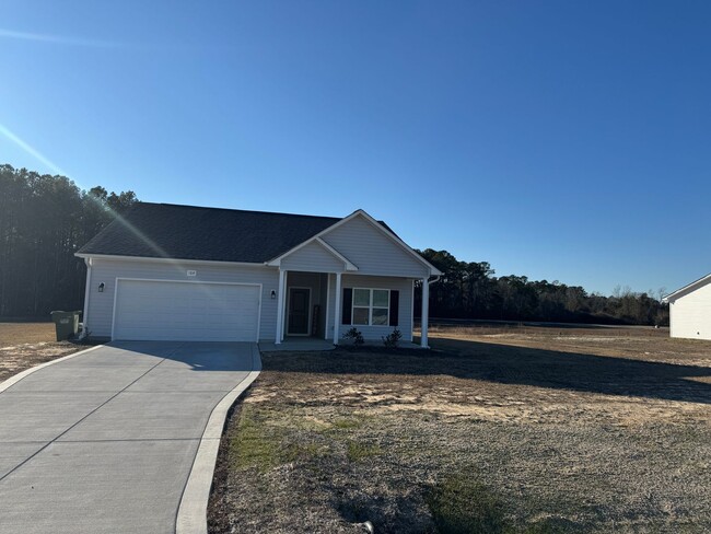 Building Photo - Newly Built Home!  Quiet Neighborhood! PAR...