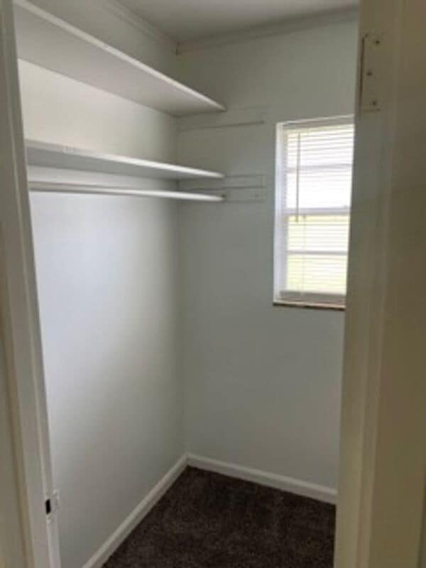 Building Photo - 1107 Silverton Ct