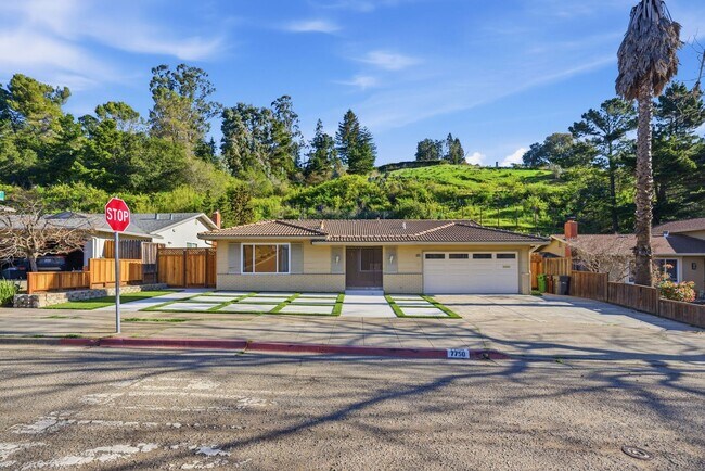 Building Photo - Large Oakland Hills Home With Large Garage/Yard +Laundry Hook-Ups!