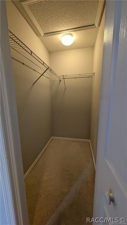 Building Photo - 4565 N Allamandra Dr