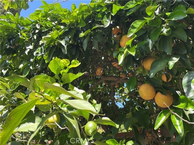 Building Photo - 955 Longview Dr