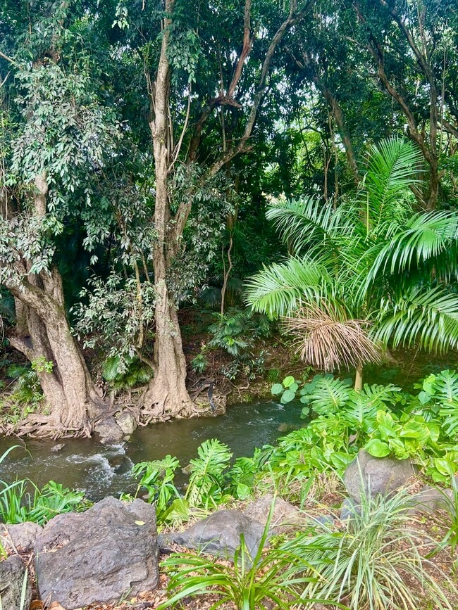 Building Photo - 116 Hanupaoa Pl