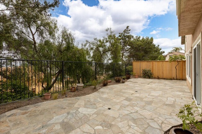 Back Yard - 720 Foxhall Ct