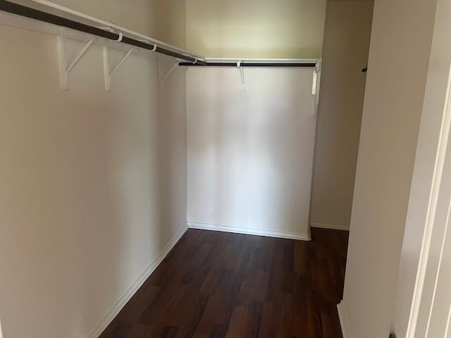 Building Photo - 10201 Gertrudis Lp