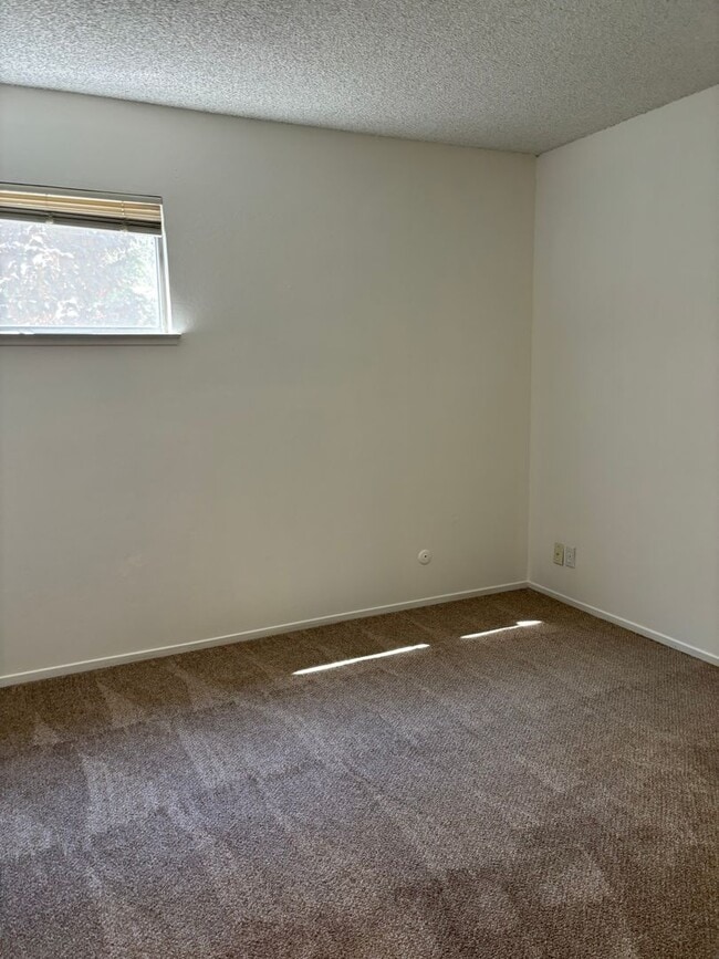 Building Photo - 2035 Mount Olive Dr