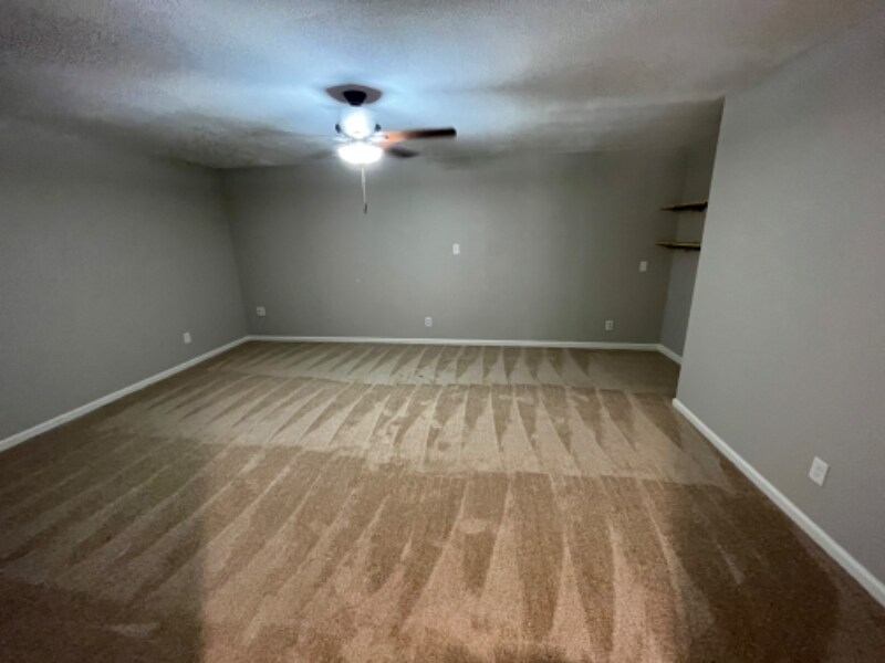 Building Photo - 2306 Wild Olive Ct