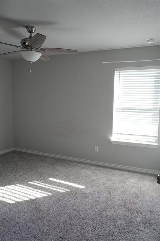 Building Photo - 808 Alta Wy
