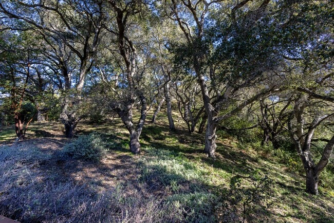 Building Photo - 250 Homestead Trl