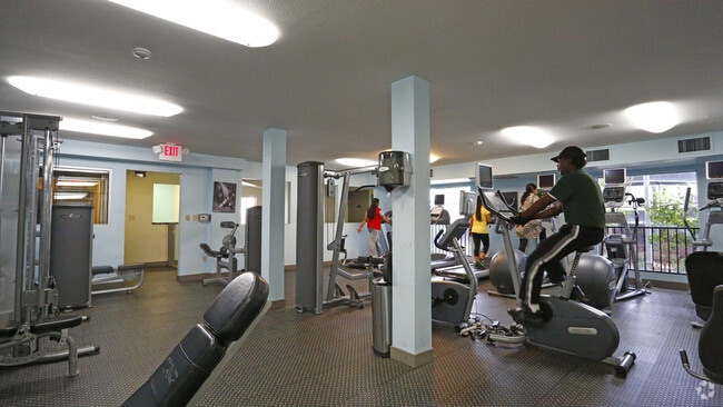 Interior Photo - Park Kiely