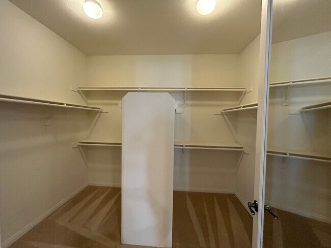 Building Photo - Gorgeous 5bd+ 3bd! Ria Bravo