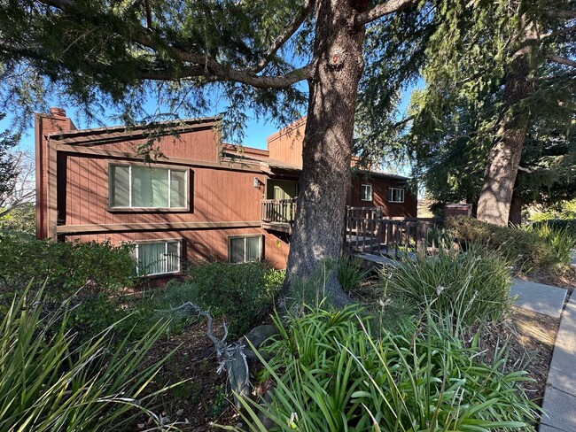 Building Photo - Come Home to This Wooded Retreat in Fremont!