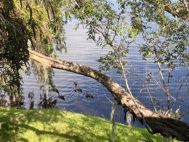 Building Photo - Village Lake Waterfront Condo