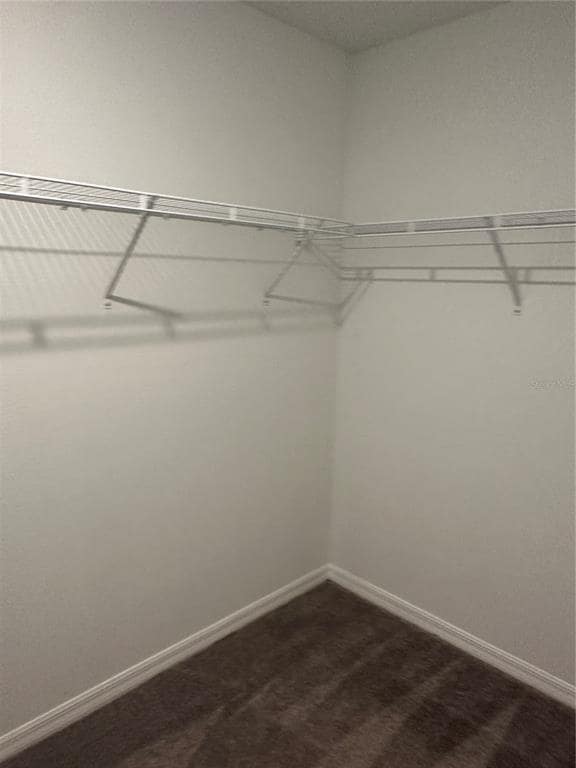 Building Photo - 5254 White Chicory Dr