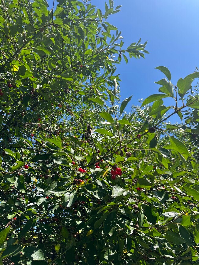 Building Photo - 967 Meadow Rd