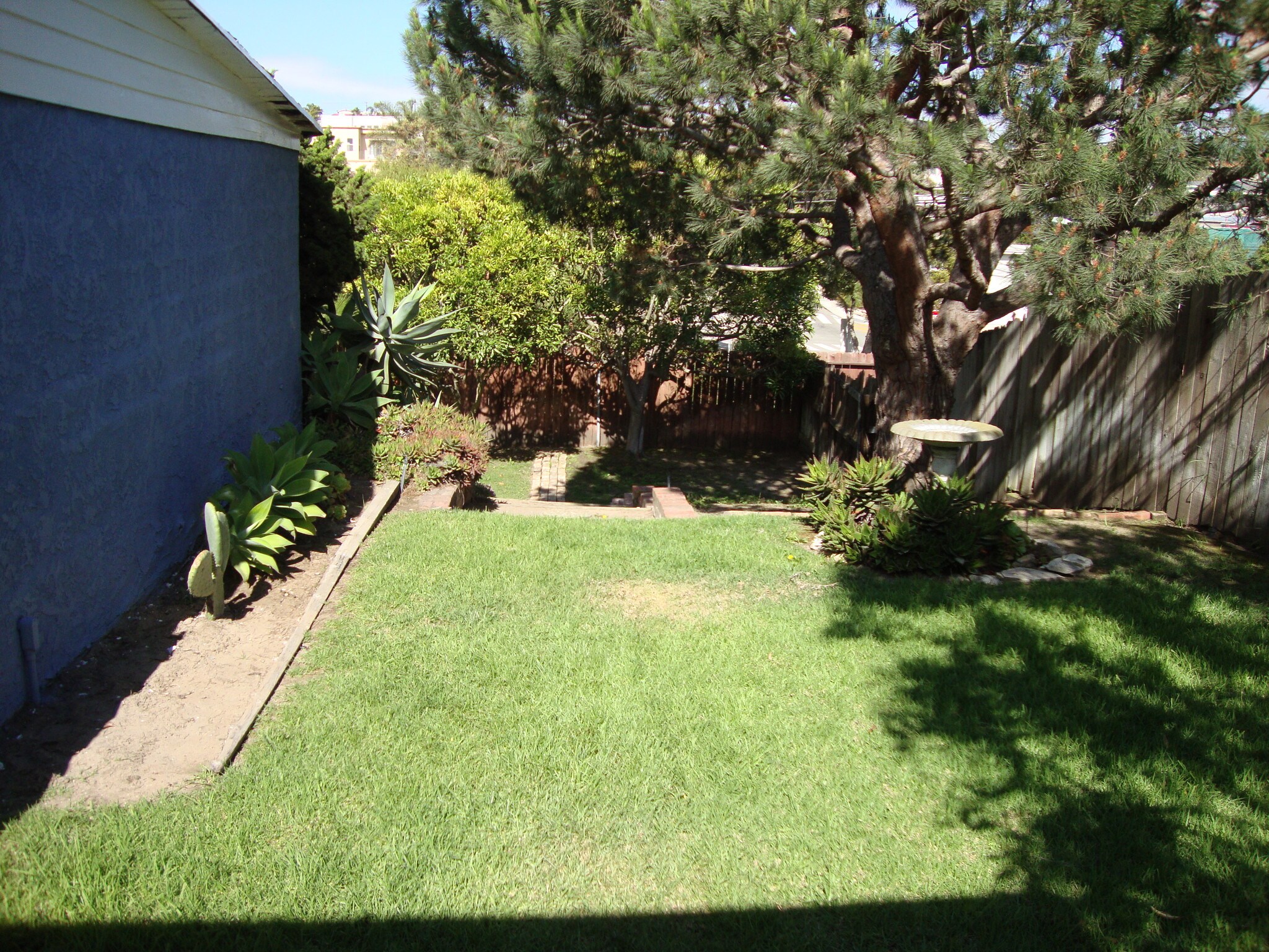 Upper back yard - 812 Bard St