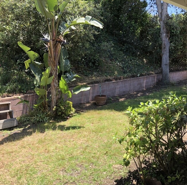 Building Photo - South Redondo - Riviera Village - Quiet and Close to the Beach!