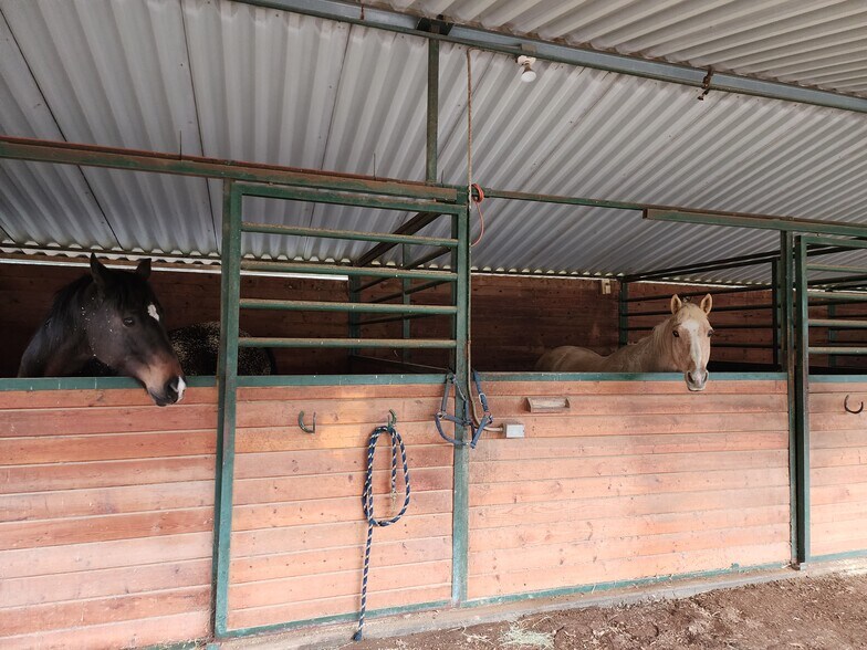 Building Photo - 2029 Willow Glen Rd