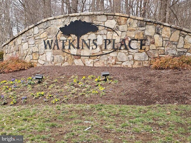 Building Photo - 922 Pine Forest Ln