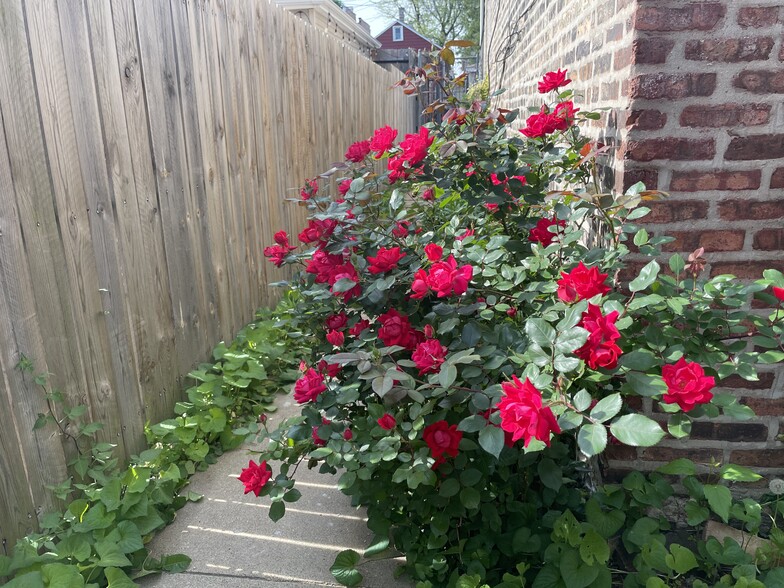 Gangway - 939 W 34th St