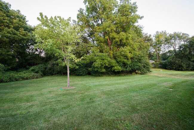 Building Photo - 2655 Whitewood St