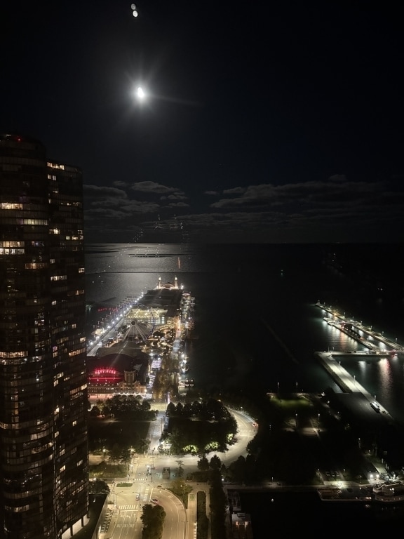 Building Photo - 474 N Lake Shore Dr