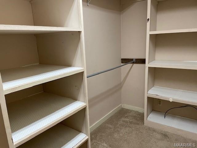 Building Photo - 1416 Wedgewood Dr