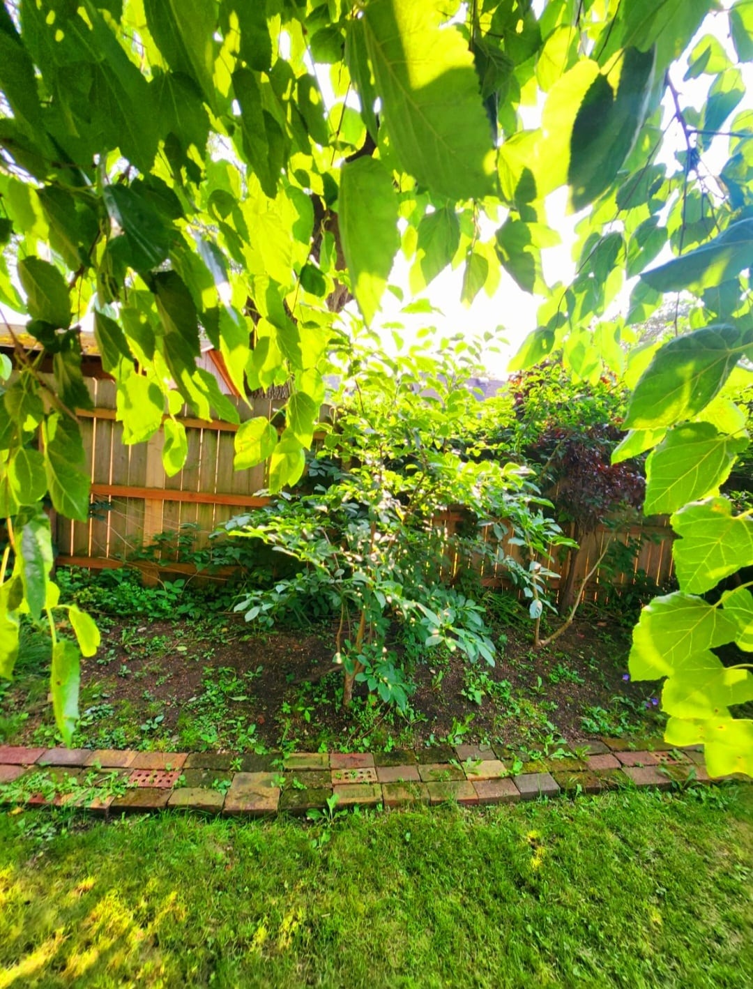 Building Photo - 2200 W 32nd St