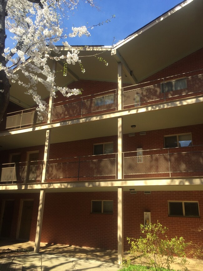 Primary Photo - 1BR/1 BA/1 Bonus Room with balcony in Stad...