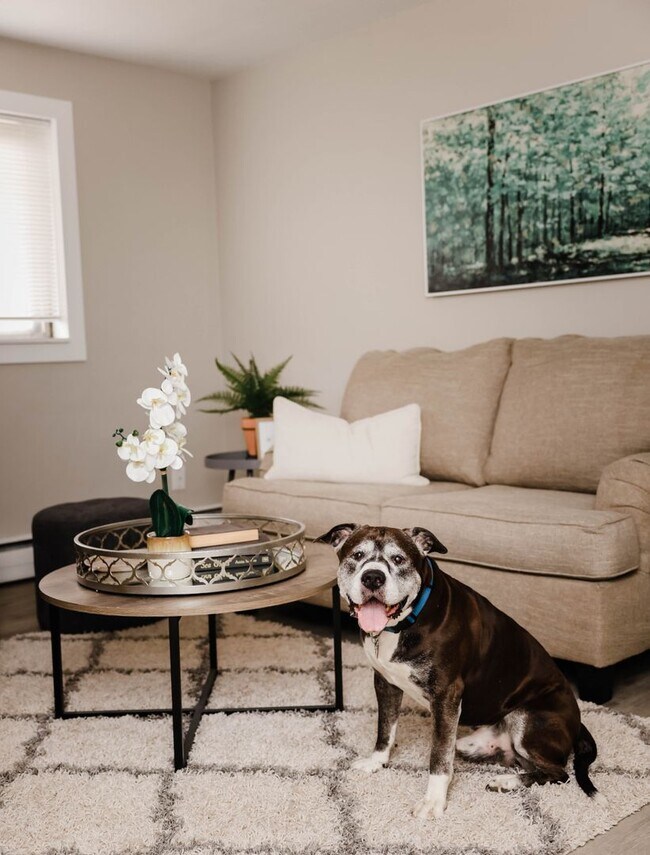 Building Photo - Highland Park Apartments; Renovated Deluxe...