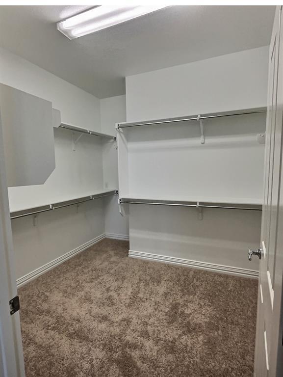 Building Photo - 921 Apache Mountain Ln