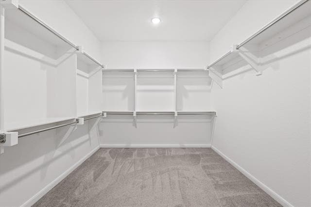 Building Photo - 1004 Rebecca Dr