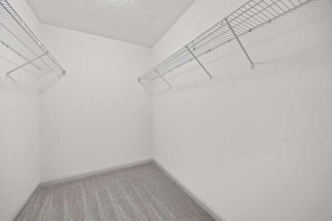 Building Photo - Beautiful 3-bed, 2 bath home in Hallmark G...