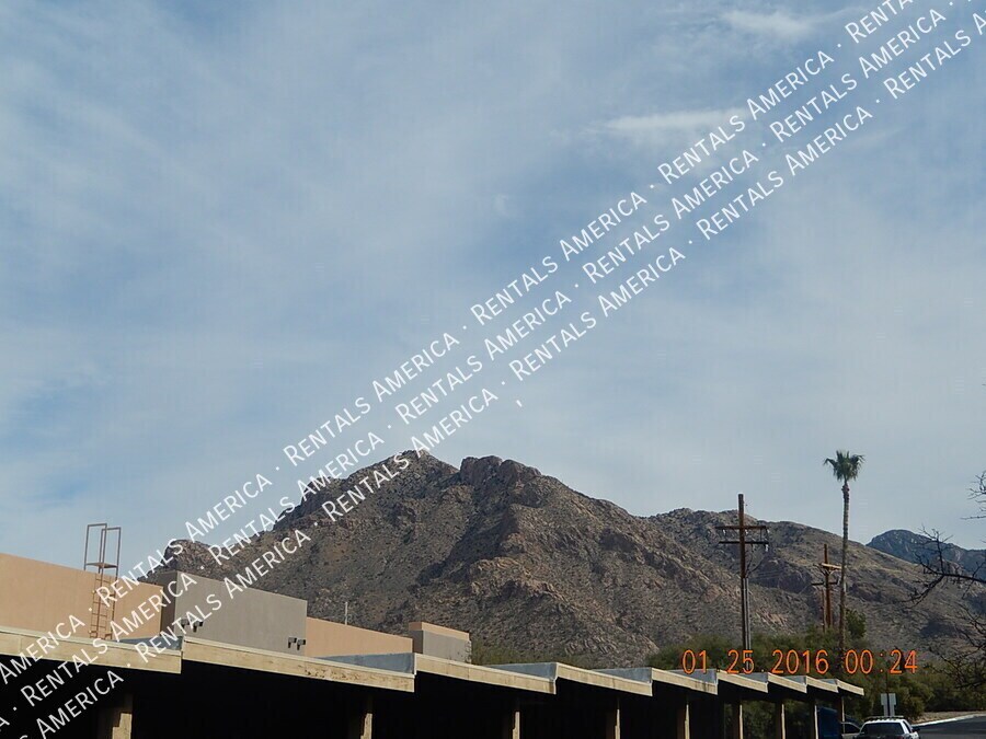 Building Photo - 8271 N Oracle Rd