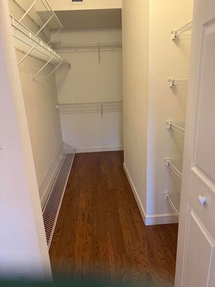 Building Photo - 2802 Sarento Pl