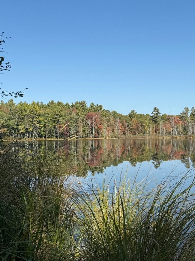 Building Photo - 15 Anglers Rd