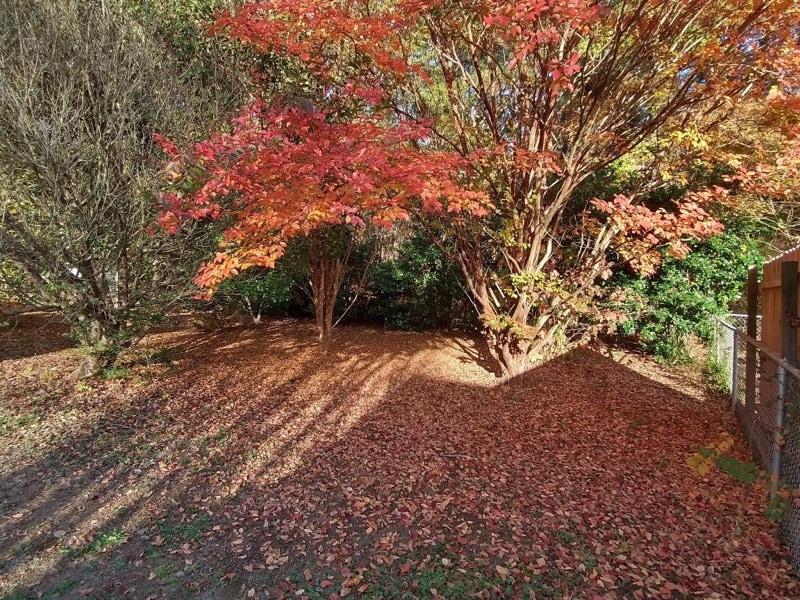 Building Photo - 7411 Griffin Ave