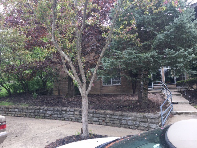 Picturesque Front of Building - 3581 Amberacres Dr