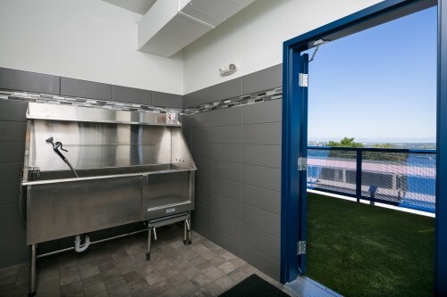 Building Photo - Junction Flats - 1 bedroom