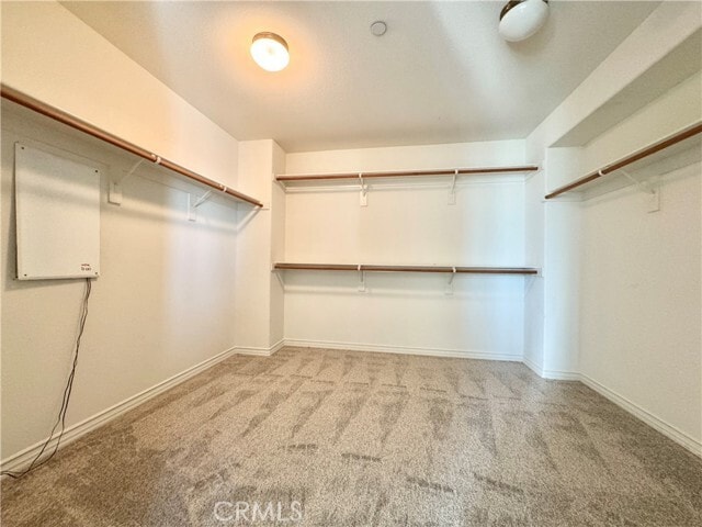 Building Photo - 15621 Pisa Ln