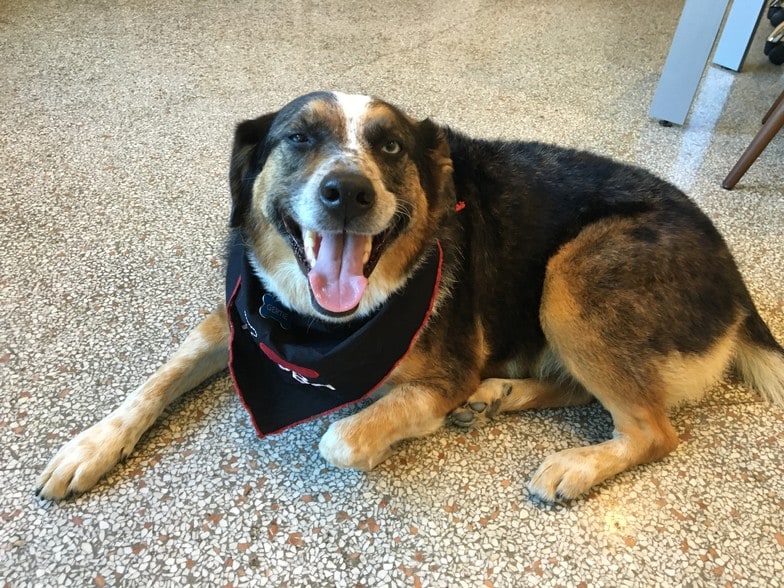 Building Photo - 3535 Broadway Blvd