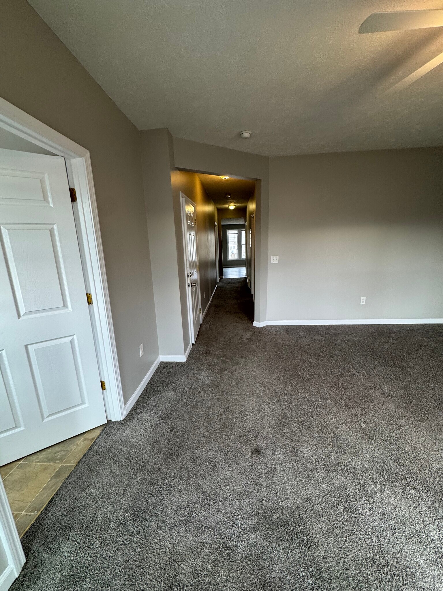 Building Photo - 310 E Mulberry St